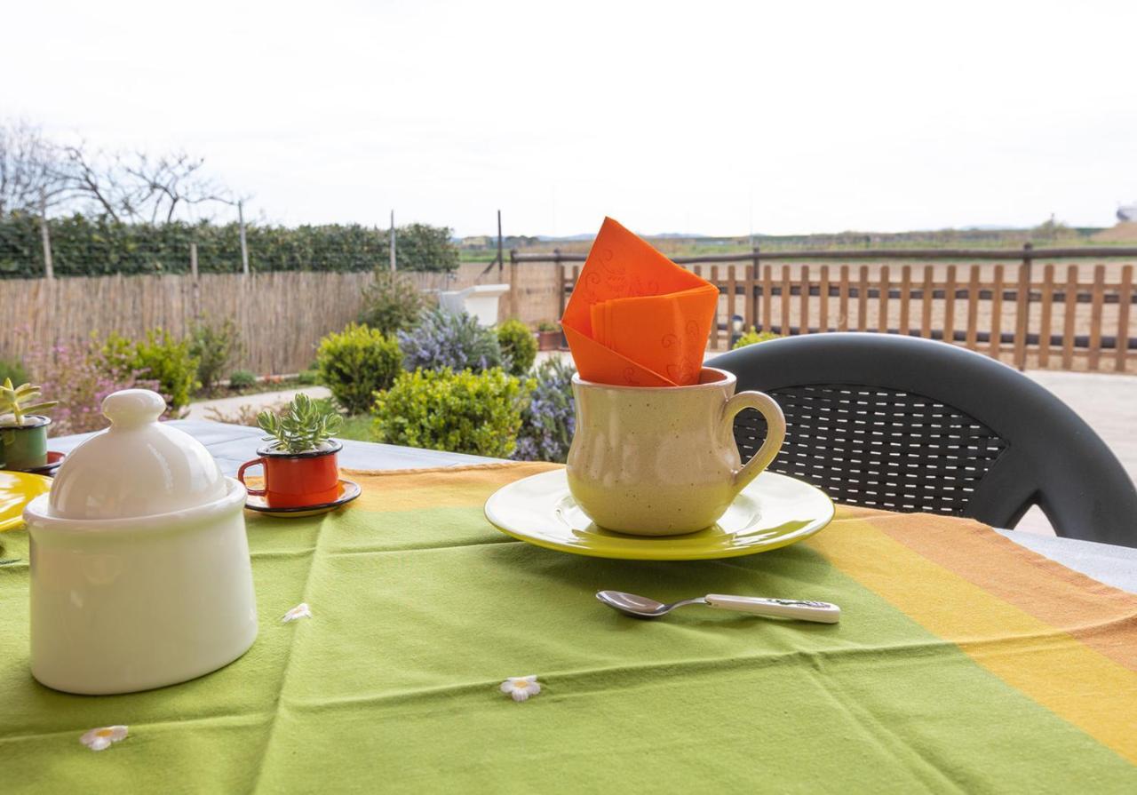 Podere Valle Dei Venti La Sdriscia 외부 사진